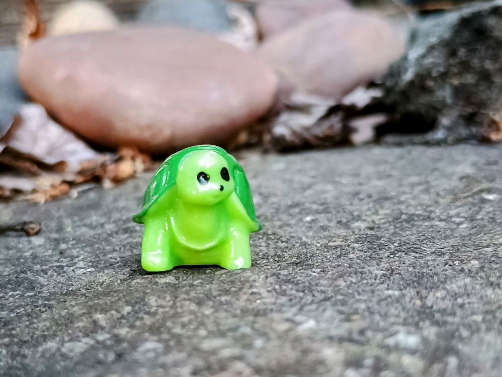 Tiny green turtle toy on a large stone