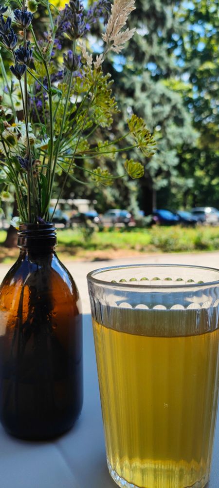 Glass of kombucha standing on a grey table alongside a small bottle with flowers in it. A park in the background.