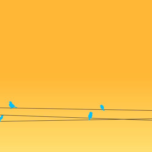 Birds on wire 🐦