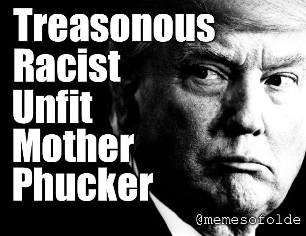 black and white photo of Donald Trump, on the left side of the pic it says "Trump" from top to bottom, those letters spell out:" Treasonous Racist Unfit Mother Phucker".