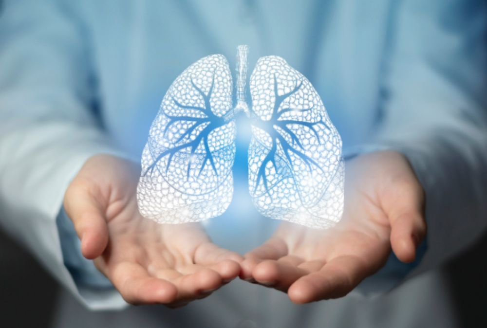 New Cystic Fibrosis Innovation Hub launched - University of Liverpool News