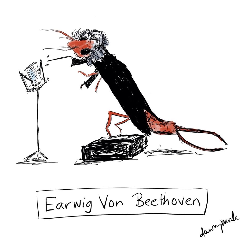 dawnymock cartoon of Earwig Von Beethoven…looking just like you think he would 