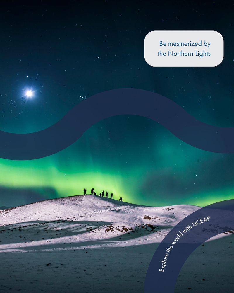Northern lights illuminate a snowy landscape, with silhouettes of people standing on a hill. A text bubble says, "Be mesmerized by the Northern Lights.