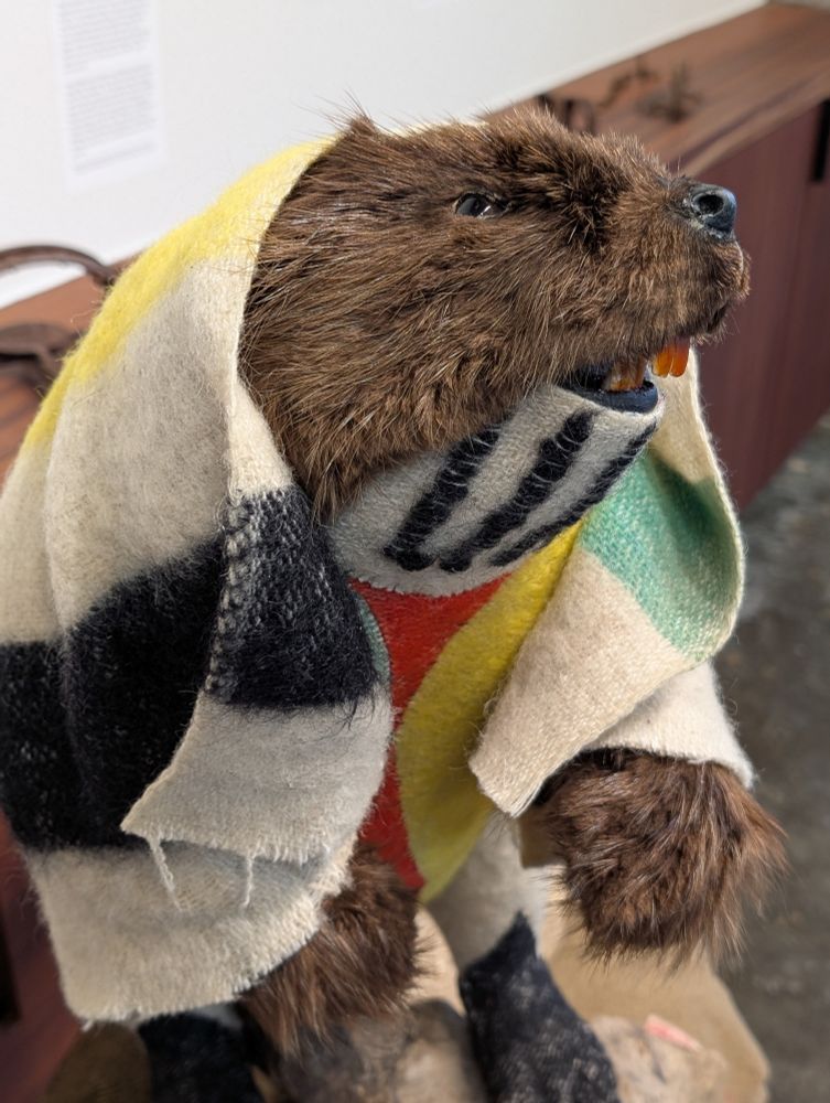 "Not Here" - Value was once measured not in coins, but the pelts of beaver...

The Hudson Bay Company, Canada's first business, focused on the acquisition of fur.