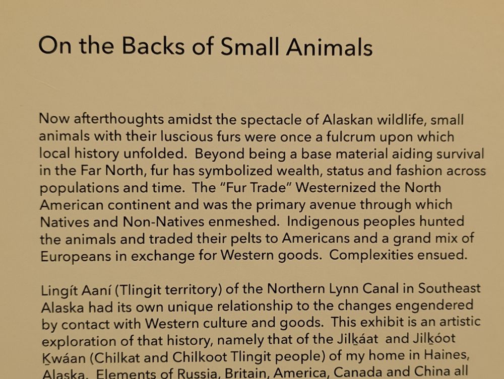 On the backs of small animals. Now afterthoughts amidst the spectacle of Alaskan wildlife, small animals with their luscious furs were once a fulcrum upon which local history unfolded...