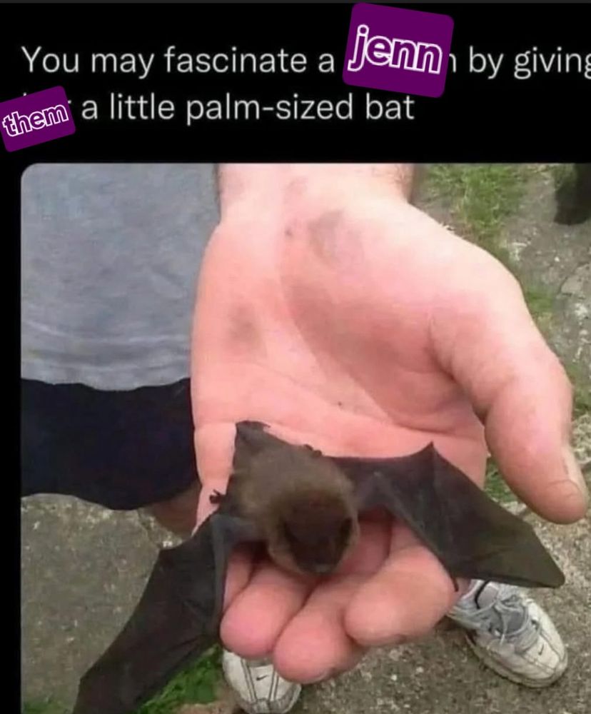 A photo shows a pink skinned human hand holding a small brown bat with its wings extended. The text reads “You may fascinate a *Jenn* by giving *them* a little palm sized bat.” Asterisks indicate where a newly typed word was pasted over the original text. If there is a better way for me to describe this please let me know, I’m trying to get better at alt text descriptions!
