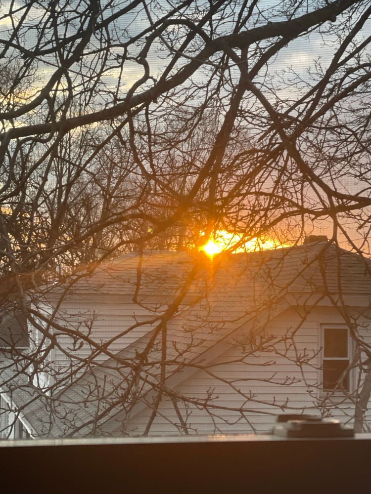 A bright golden sun emerges above the roof of a white house with the branches of a bare tree in the foreground.