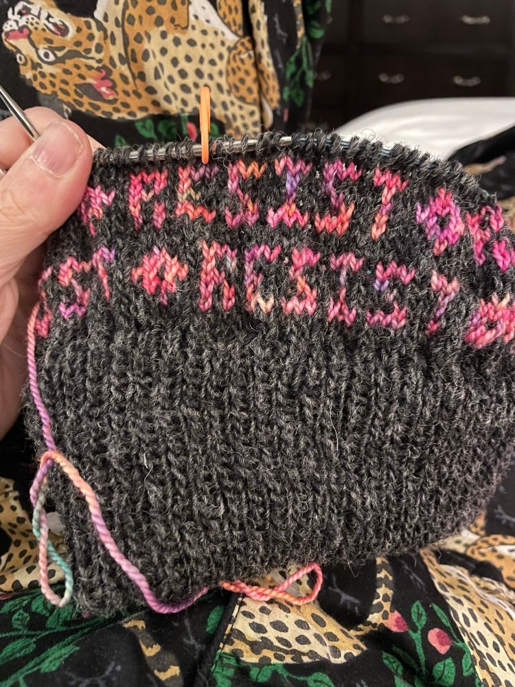 A grey wool hat featuring 2 repeating rows of the word RESIST in pink hangs below a circular knitting needle, against a background of black pajamas featuring green leaves and brown leopards.