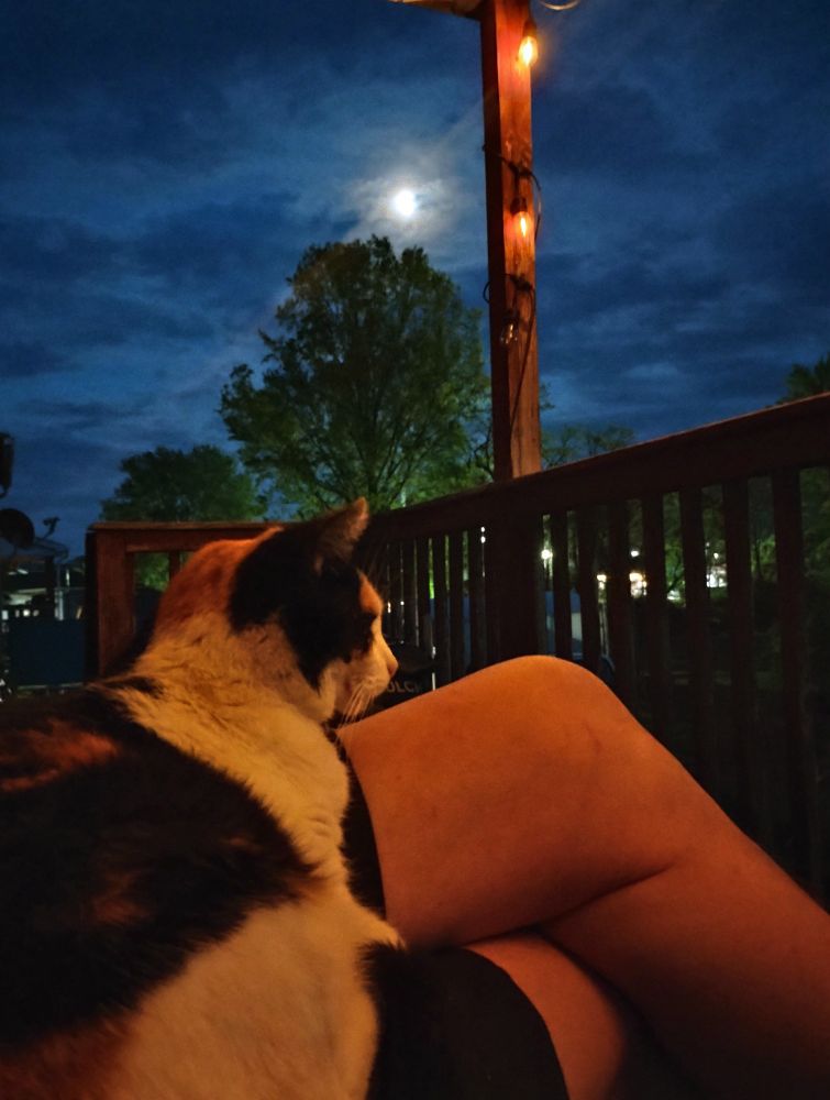 A calico cat sitting on my lap, outside on the back porch. The bright moon is peeking through the clouds.