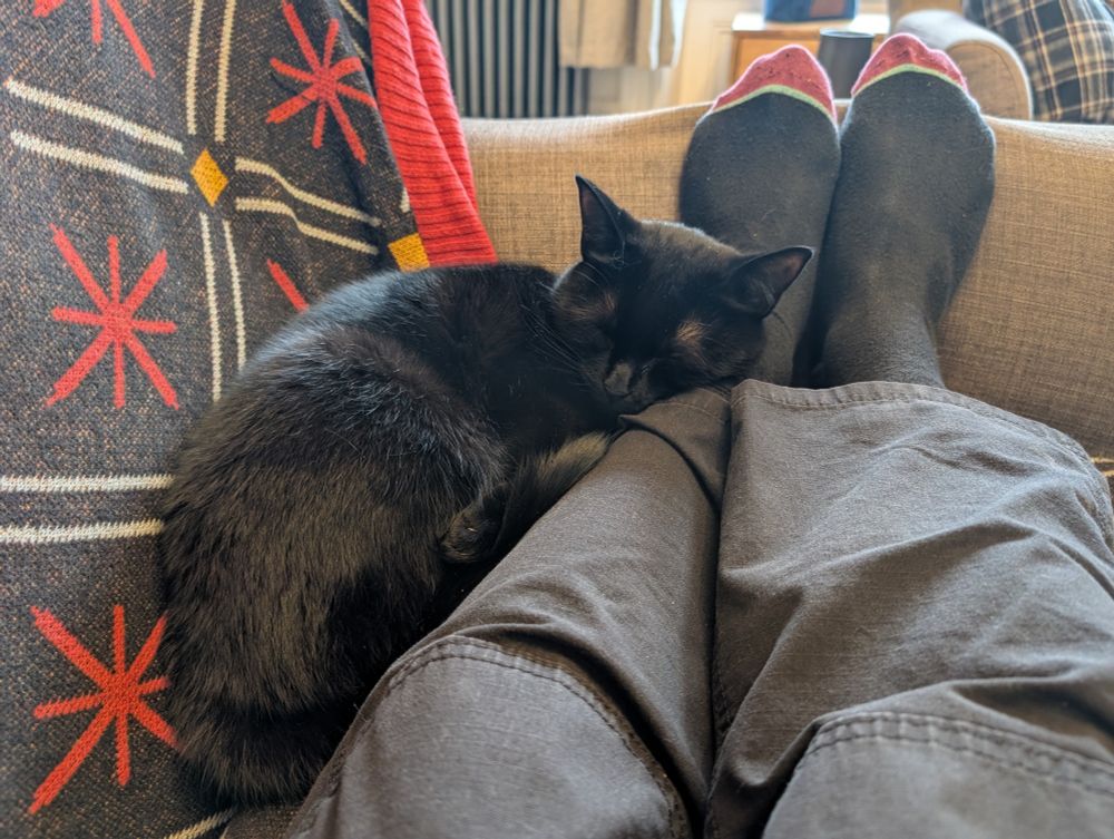 A small black cat sleeping next to some feet on a sofa