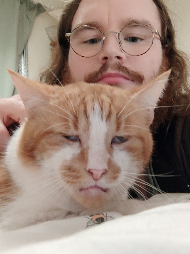 Ginger and white cat with swollen mouth and half closed eyes looking very sorry for himself as his long haired, bearded and bespectacled human servant looks on from behind with gentle concern.