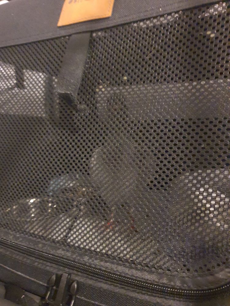 Bluery photo of a pidgeon like creature in a transportation box photographed through the box' netting. It's head strechted up high to  vaguely be seen in front of the back window of the box, shadows obscuring most of the form, wich makes for a weirdly long neck. 