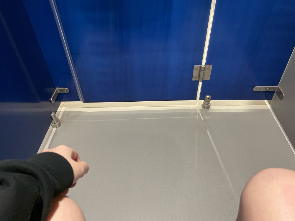 a picture of the poster sitting on a toilet in a public bathroom stall fighting for their life; naked knees and one arm visible.