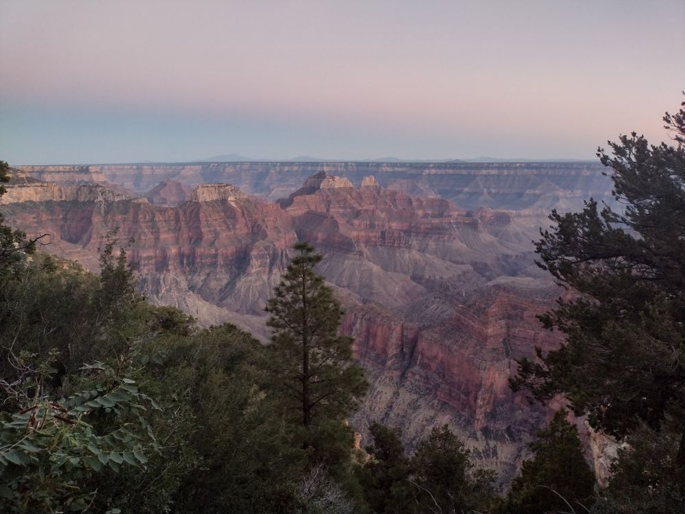 The Grand Canyon with rosy pink layers under a hazy sunset sky surrounded by conifer trees. 