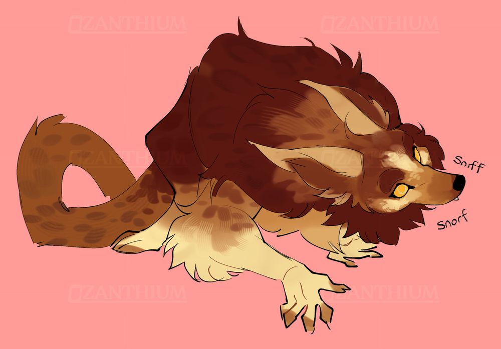 A sketch of a red, yellow and brown werewolf crouching down and sniffing around, head tilted. 