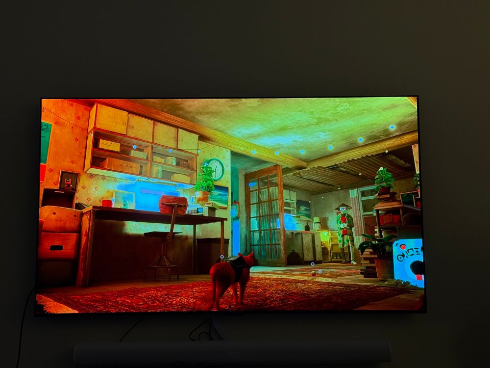 Stray the video game on a TV, with HDR enabled 