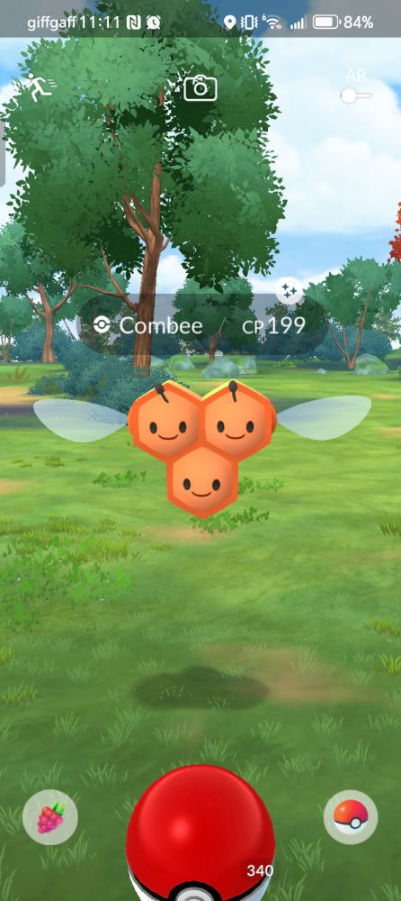 A shiny male Combee, which cannot evolve, in Pokémon Go.