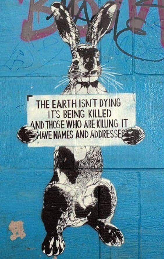 The Earth isn't dying, it's being killed. Those who are killing it have names and addresses.