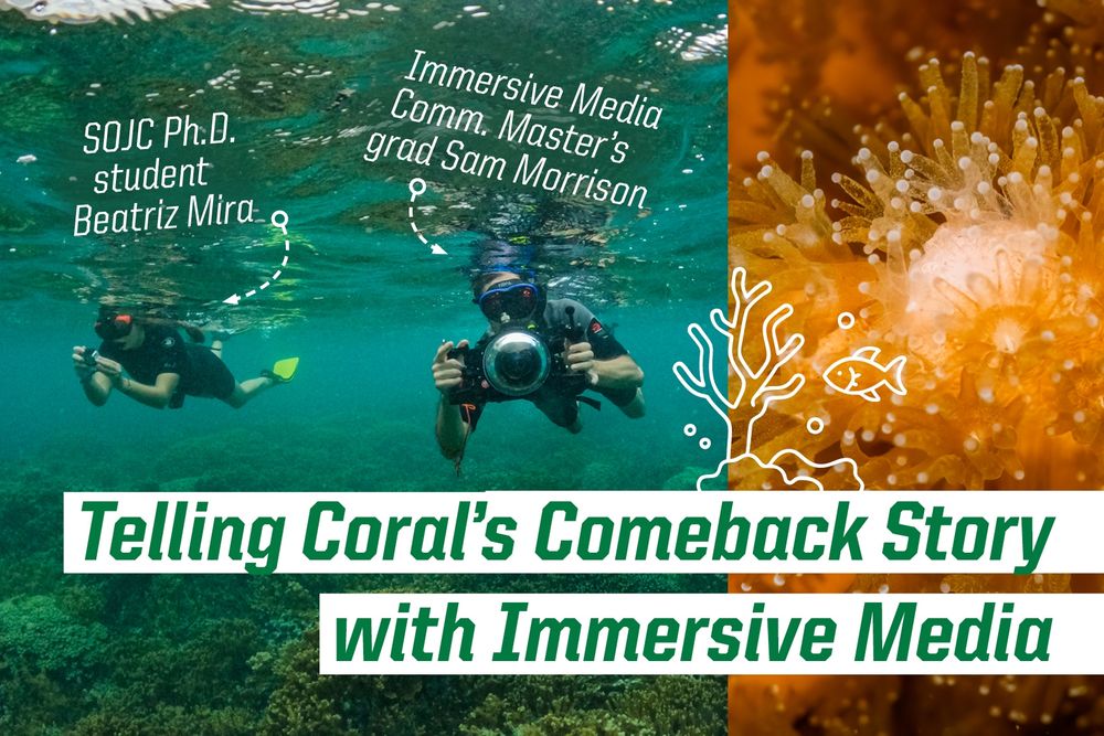 Image features a scuba diver photographing coral underwater on the left, and a close-up of vibrant coral on the right, with text overlay stating 'Telling Coral's Comeback Story with Immersive Media', highlighting SOJC Ph.D. student Beatriz Mira and Immersive Media Comm. Master's grad Sam Morrison.

