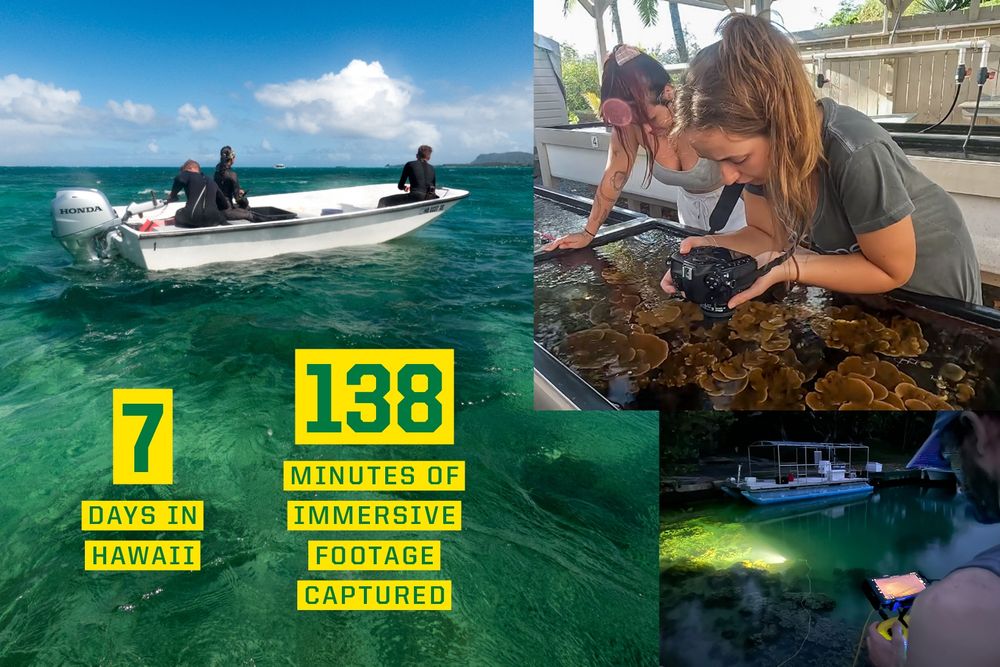 Collage of three images showing various activities in Hawaii: people speeding in a motorboat, a person observing coral in a lab, and a nighttime scene of someone illuminating water from a dock. Text overlays indicate 7 days spent in Hawaii and 138 minutes of immersive footage captured.

