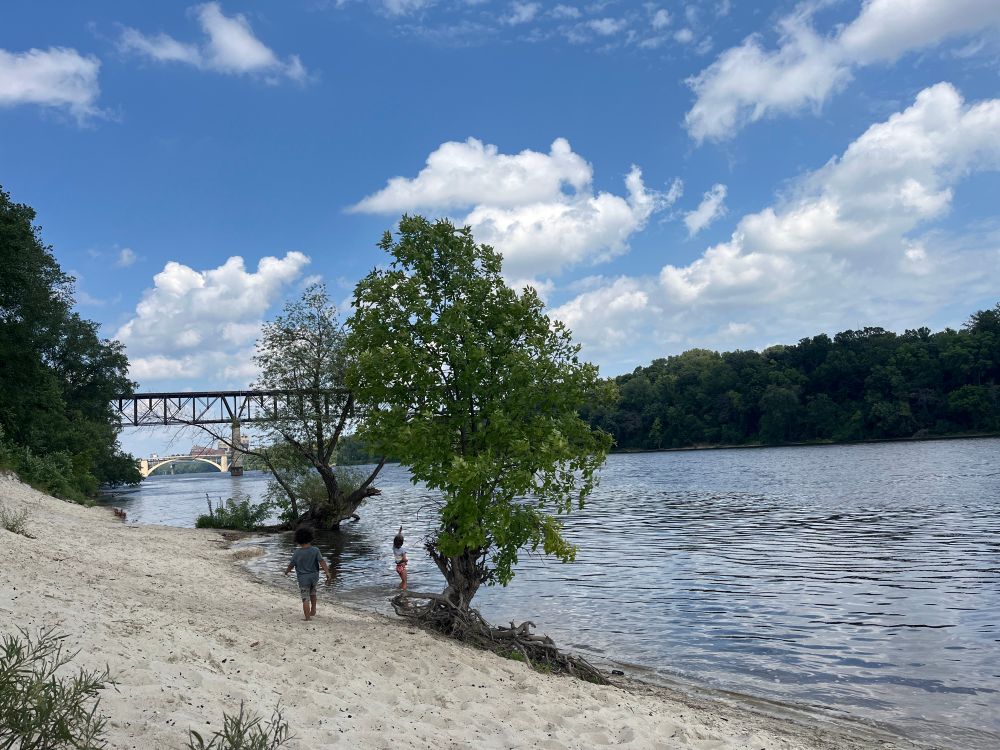 A view of White Sands Beach on the Minneapolis side of the Mississippi. The trestle bridge stretches across the dark summer green that lines the shore. A few small trees straggle up out of the water edge, a storm-stunted ash with bared roots, and a half-dead willow. Too young children play on the empty white sand under a bright blue sky scattered with white cloud puffs.
