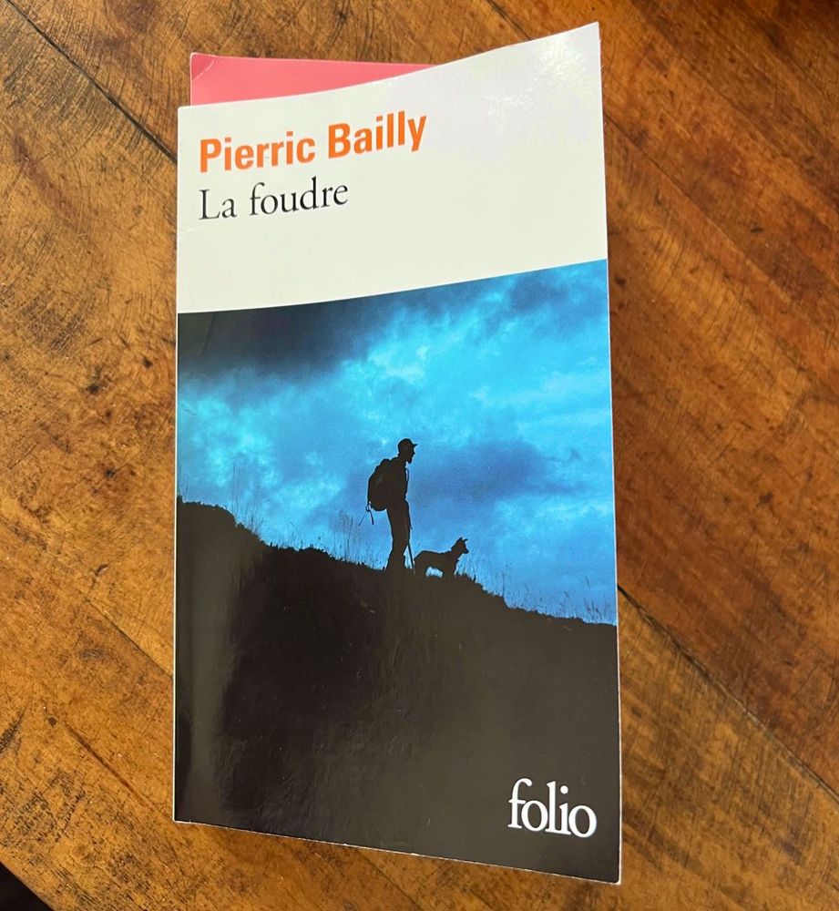 Posé sur une table le livre de Pierric Bailly « La foudre »  chez folio 
La photo de couverture présente un paysage de montagne avec en ombre chinoise un homme avec un sac à dos et un chien à ses pieds sous un ciel orageux 