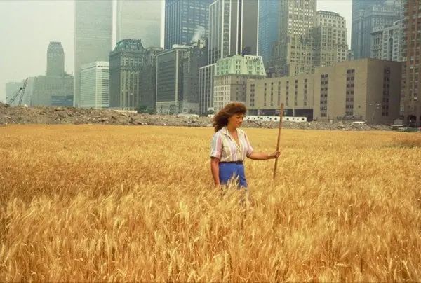 the artist standing in a wheat field in manhattan