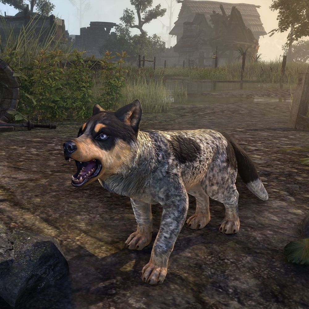 The Bloodblood Frog Hound pop barks playfully in a clearing.