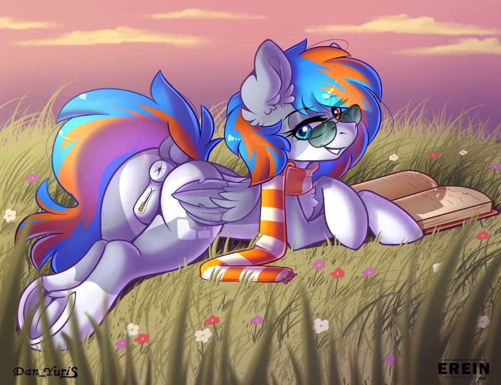 pony lies in the field