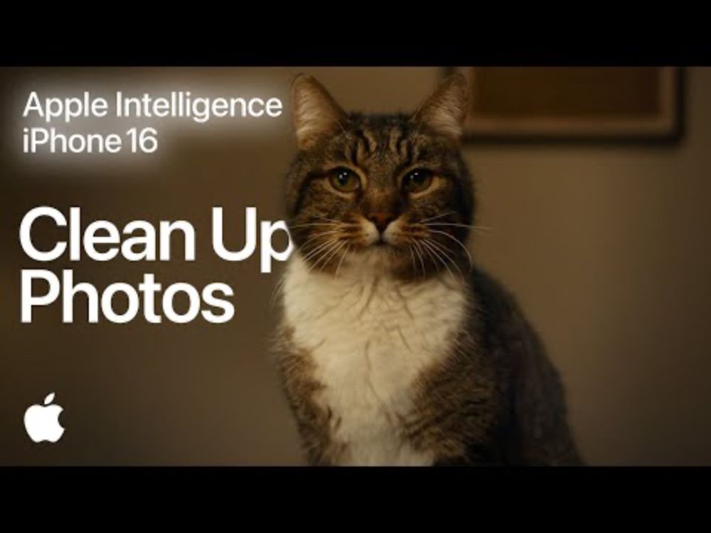 Apple Intelligence | Clean Up Photos: Cat | iPhone 16