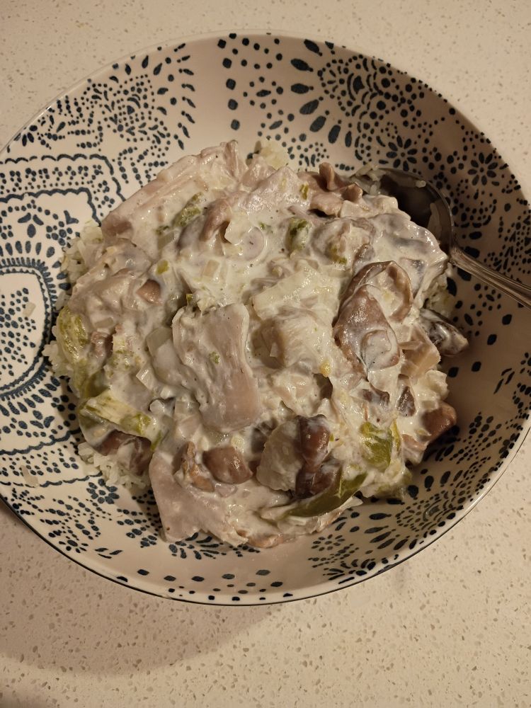 Young jackfruit in coconut milk served over rice.