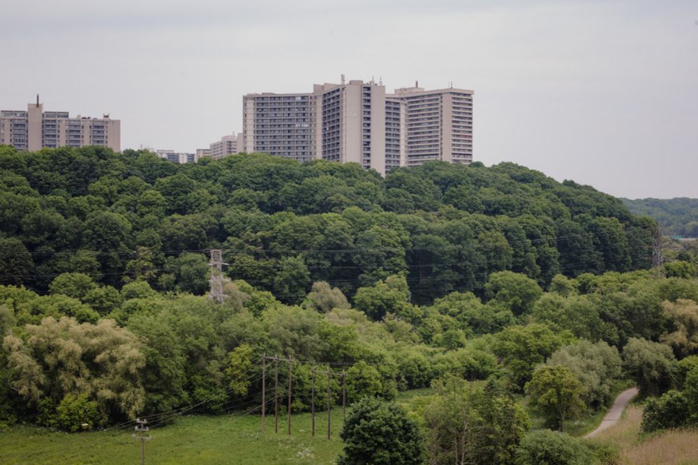 Toronto Homes Can’t Go Carbon-Neutral Unless Developers Get On Board | The Local