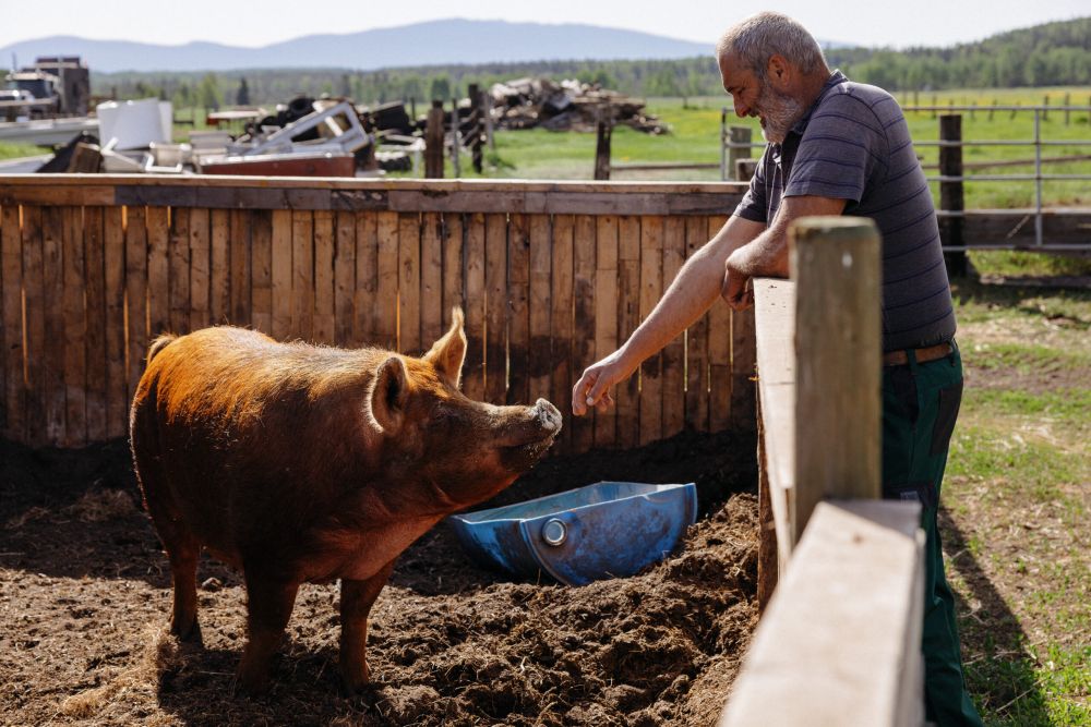 As another B.C. drought looms, farmers search for solutions | The Narwhal