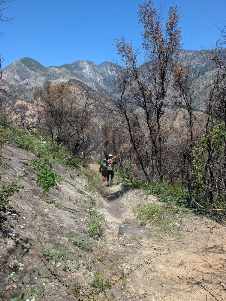 trail crew working to rebuild trails after socal fires