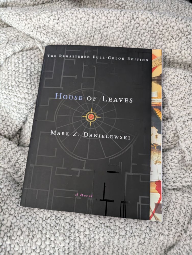 Photo of the book House of Leaves. Black cover with white and blue text. 