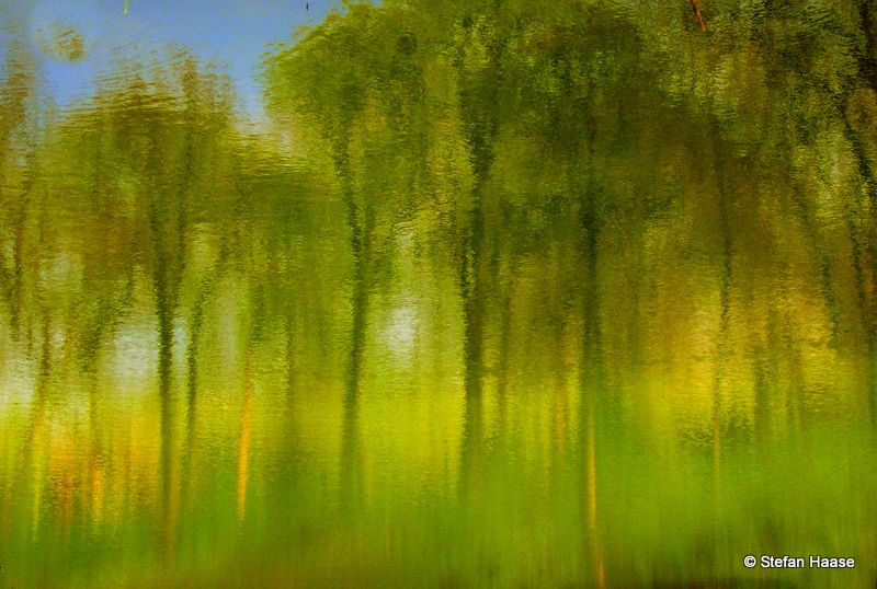 Abstract depiction of trees in a lake, showcasing a blend of colors and shapes in a serene natural setting. The photo was mirrored./Abstrakte Darstellung von Bäumen in einem See, die eine Mischung aus Farben und Formen in einer ruhigen natürlichen Umgebung zeigt. Das Foto wurde gespiegelt