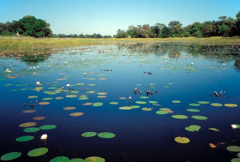 okavango_delta_system_rs_botswana