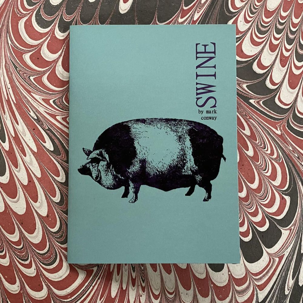 The cover of Swine by Mark Conway. A plain turquoise background with a large, realistic image of a pig in the center