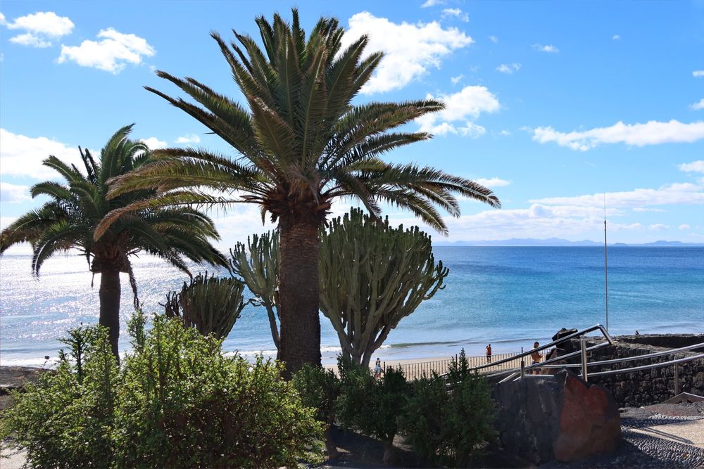 Green palm trees in front standing tall in front of a lush blue ocean meetings an equally lush blue sky.