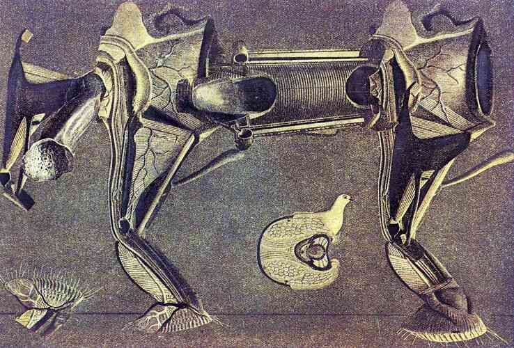 A little sick horse's leg