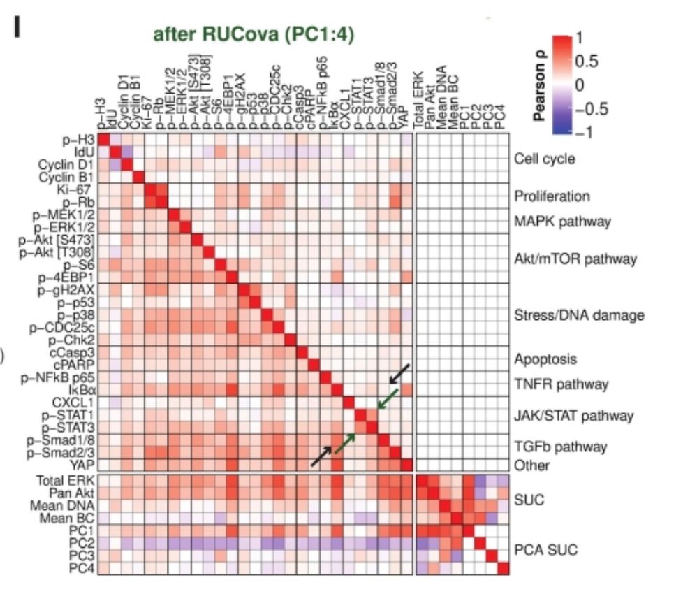 Correlations between markers before and after RUCova. One can see how RUCova reduces the correlations between unrelated markers.