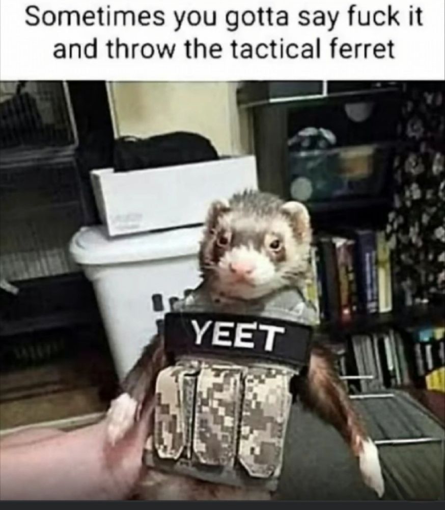 Comment image