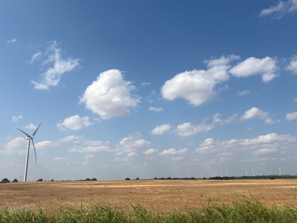 A picture of a yellow field under a big blue sky full of clouds. A wind turbine stands in the field. Other turbines sit on the horizon.