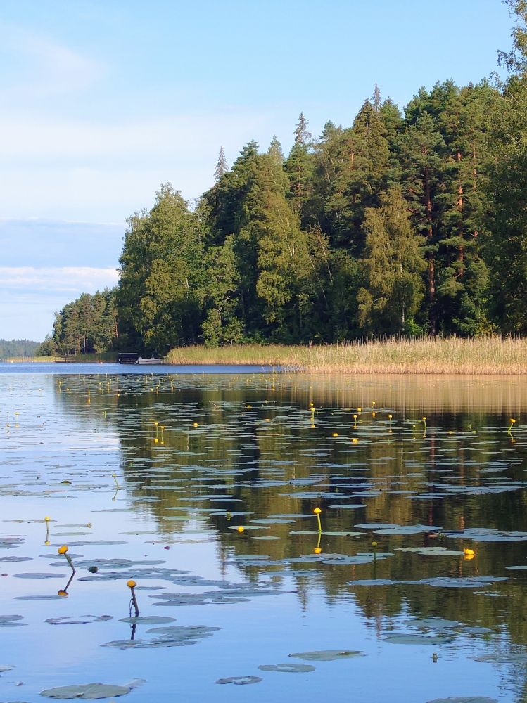Järvenrantamaisemia sinitaivasta ja pilviä