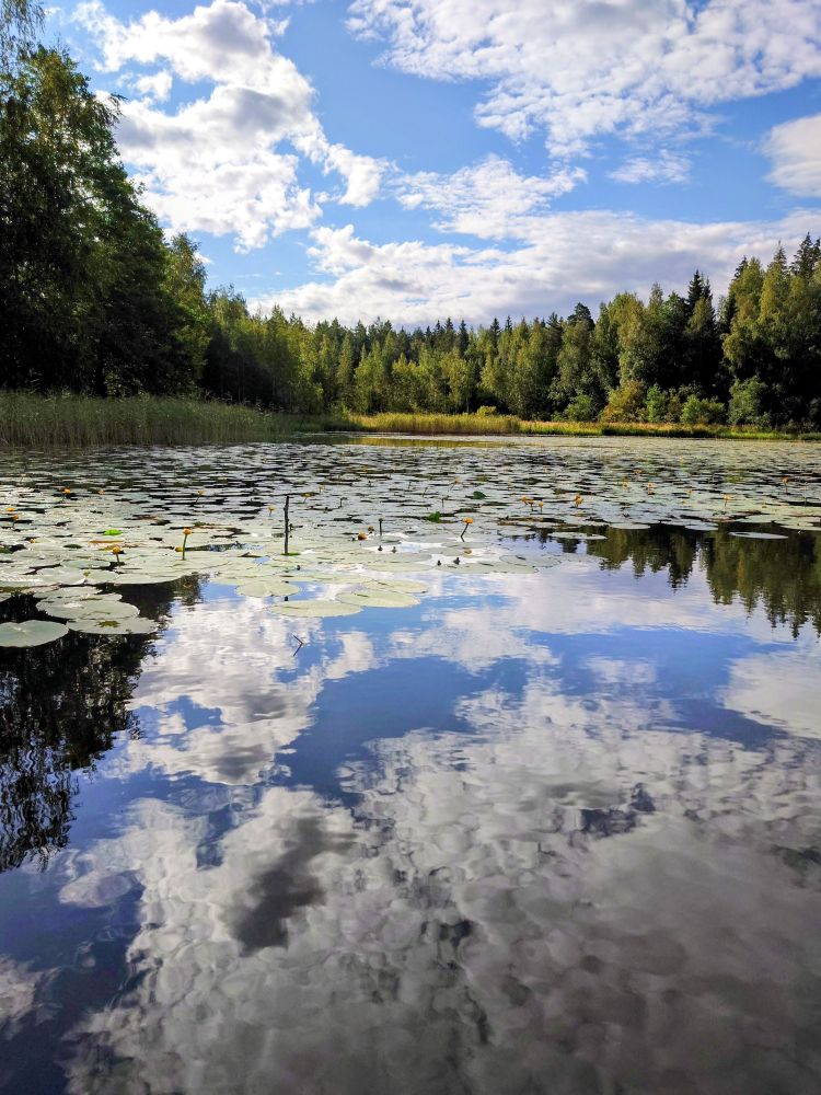 Järvenrantamaisemia sinitaivasta ja pilviä