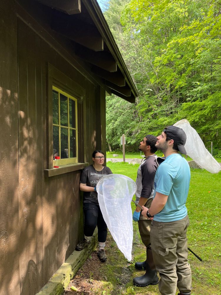 Team wasp collecting in the field