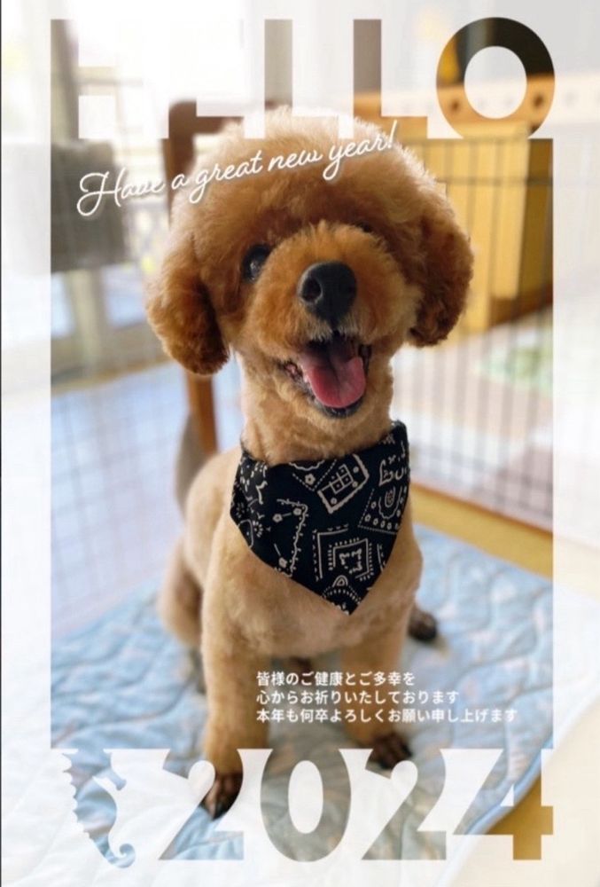 あけまして
おめでとうございます🎉🍾🎊🎈