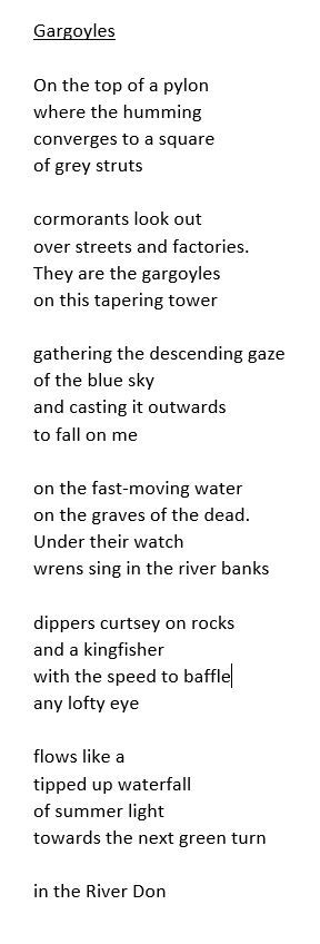 Gargoyles

On the top of a pylon
where the humming
converges to a square
of grey struts

cormorants look out
over streets and factories.
They are the gargoyles
on this tapering tower

gathering the descending gaze
of the blue sky
and casting it outwards
to fall on me

on the fast-moving water
on the graves of the dead.
Under their watch
wrens sing in the river banks

dippers curtsey on rocks
and a kingfisher
with the speed to baffle
any lofty eye

flows like a 
tipped up waterfall
of summer light
towards the next green turn 

in the River Don
