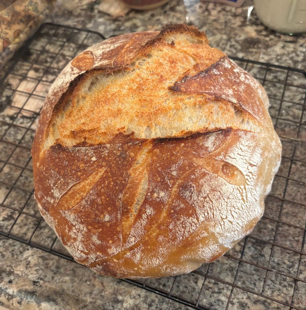 Sourdough bread