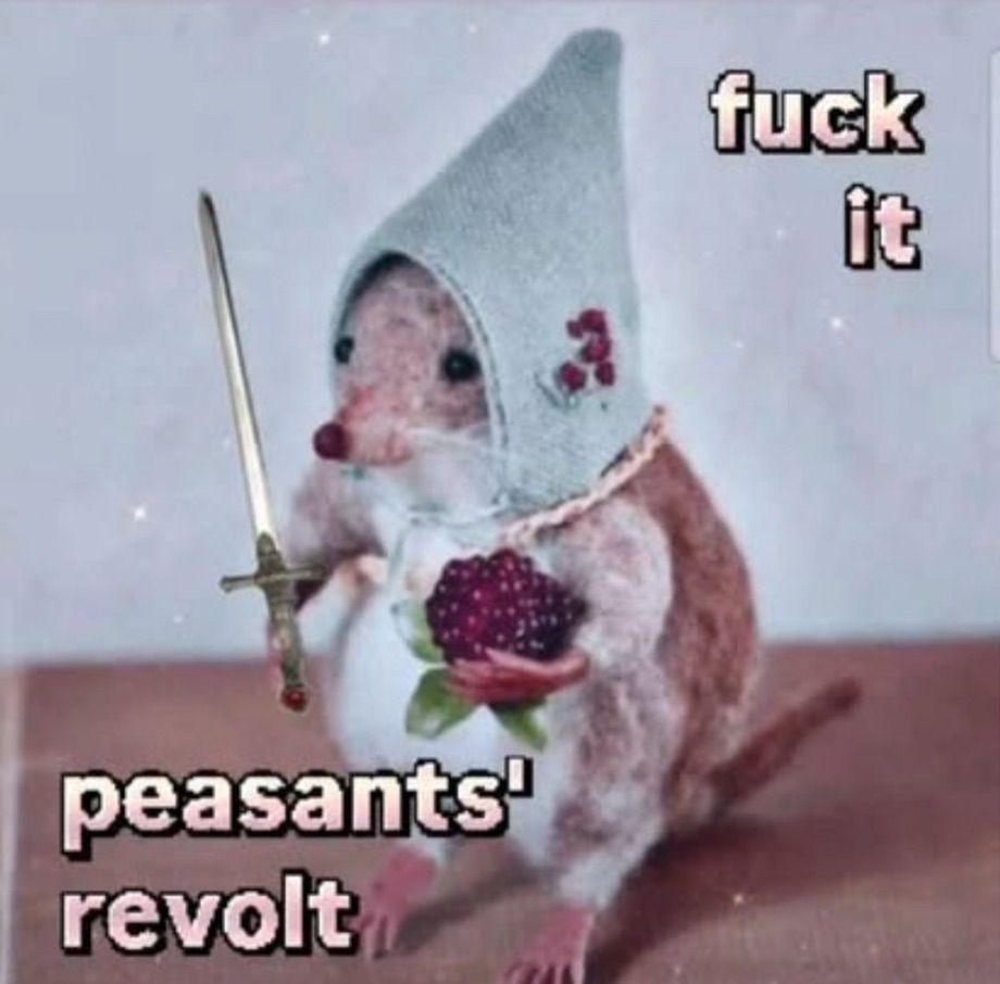 What looks to be a little some little variety of shrew (either taxidermy or needle felted) and has a little pointy felted hat on holding a berry and a sword and the words read “fuck it, peasants’ revolt”